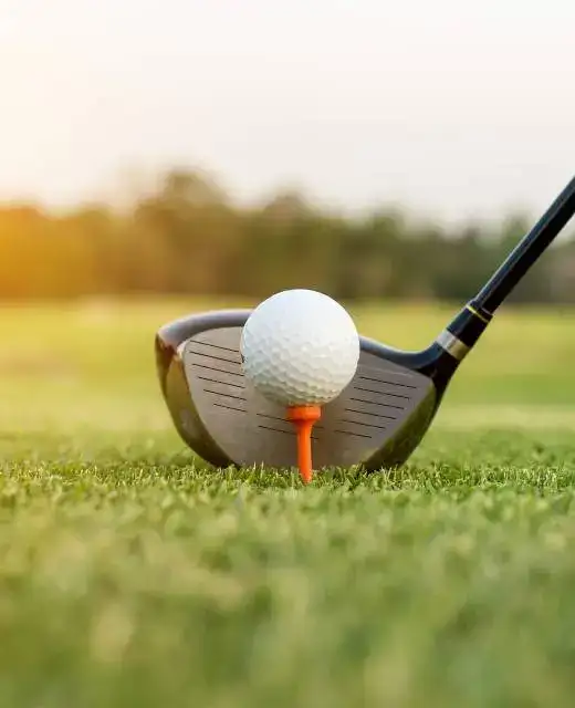 image-1-copyright-qepkdjr71aff5sggnx6qrrxde3myr2yb8ubyo6ey9s